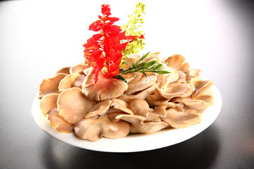 袖珍菇