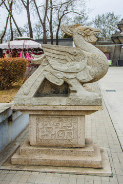 古代神鸟朱雀右侧全景雕塑