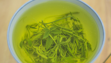 绿茶 绞股蓝