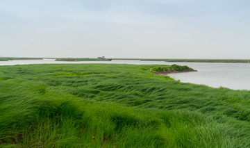 湖区湿地