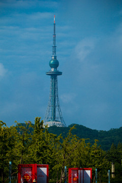 青岛风光 电视塔