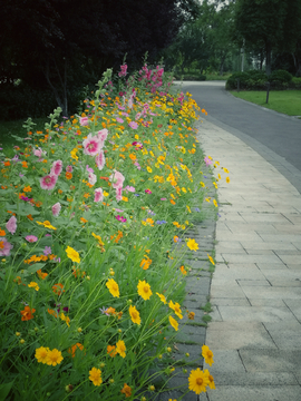 花间小道