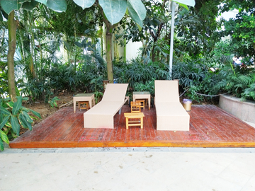 热带雨林 躺椅