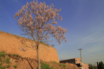 天空