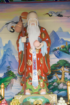 寿星