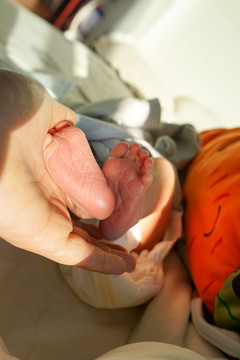 新生儿双脚