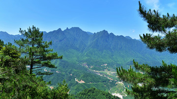 大山风景 森林植被