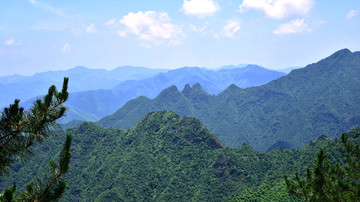 大山风景 森林植被