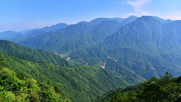 森林植被 大峡谷