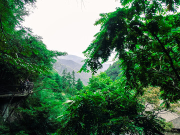 磐安县森林公园旅游高清摄影图