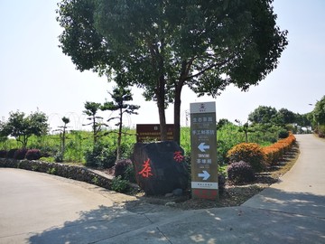 谢裕大茶博园