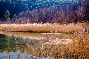 泸沽湖自然保护区
