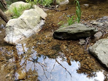 山泉 清澈 溪水 大自然