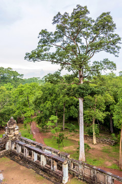 柬埔寨暹粒吴哥茶胶寺