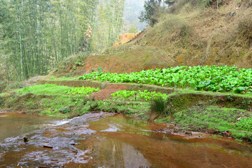 田园溪流 山里菜地 山溪水