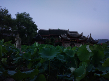荷花山庄