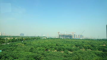 城市湿地