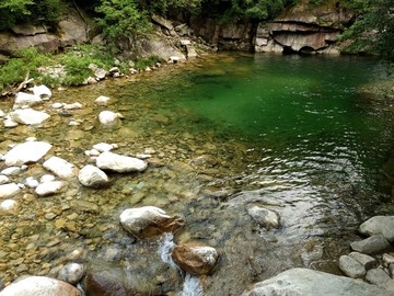 山泉 山涧 泉水 一池碧水