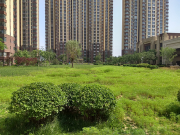 小区绿化