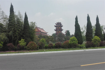 亚洲最大寺院南海禅寺
