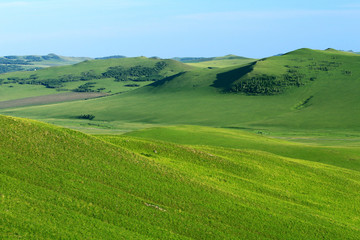 绿色的山地草原