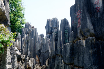 石林