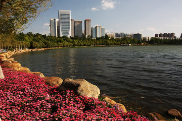 城市公园景观