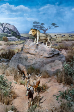 非洲狮雕塑