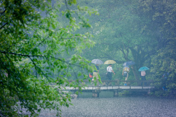 西湖风景