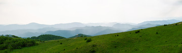 茅荆坝全景