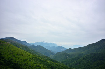 神农架一景