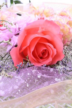 浪漫玫瑰花紫色蕾丝