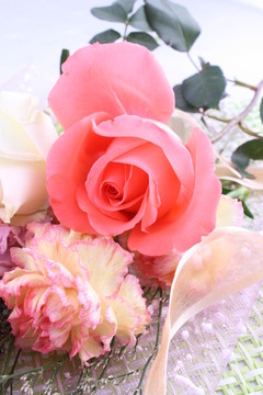 玫瑰花蕾康乃馨网纹