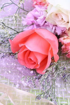 玫瑰花蕾康乃馨网纹