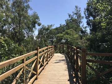 木栈道
