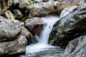 白马大峡谷溪流