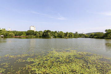 云龙山风景区