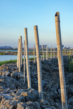 海边围塘养殖场