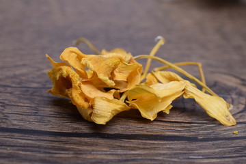 石斛花