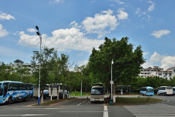 生态停车场