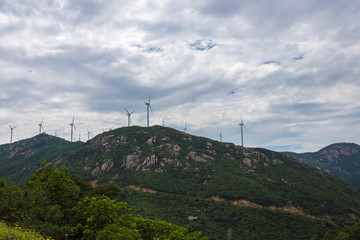 高栏岛