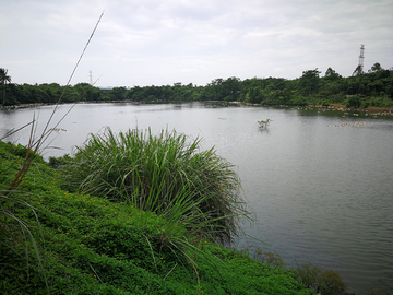 原生态湿地