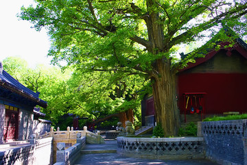 晋祠