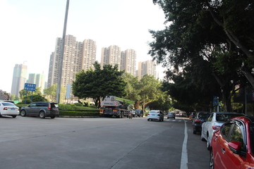 伯奇路