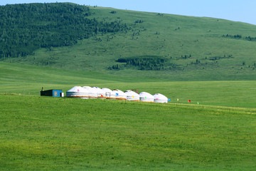 草原景区蒙古包