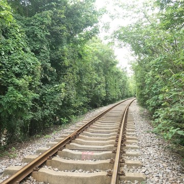 江宁爱情隧道