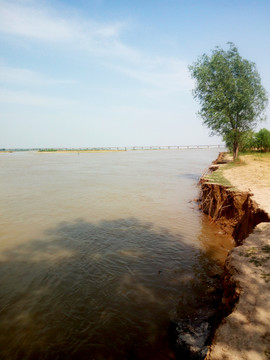 黄河水侵蚀的河岸