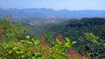 绿叶和远山自然风景