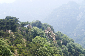 泰山后山