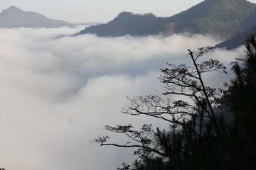 青山云雾